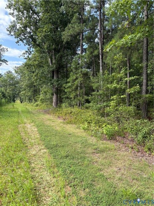 0 Pole Run Rd, Disputanta, VA, 23842 | Card Image