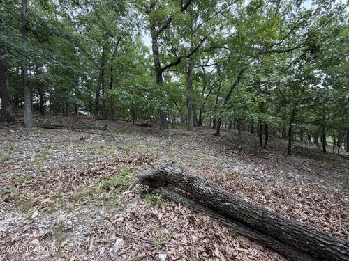 TBD Navajo Rd, Lake Ozark, MO, 65049 | Card Image