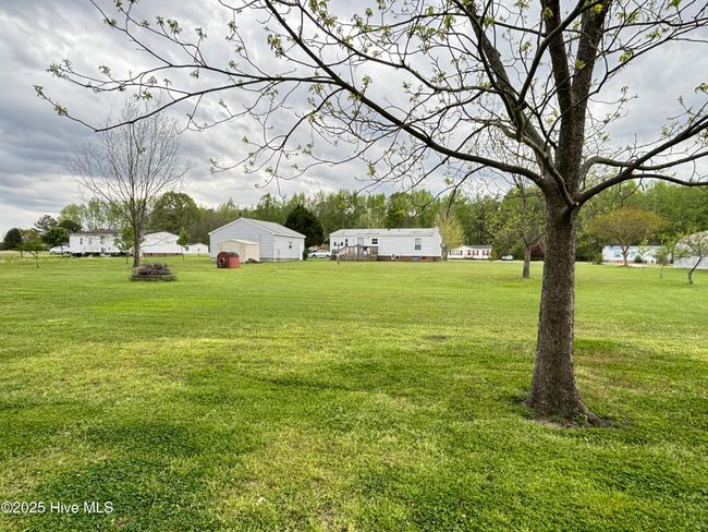 fruit trees and pecans | Image 46