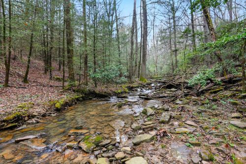 2424 Corral Rd, Signal Mountain, TN, 37377-1310 | Card Image