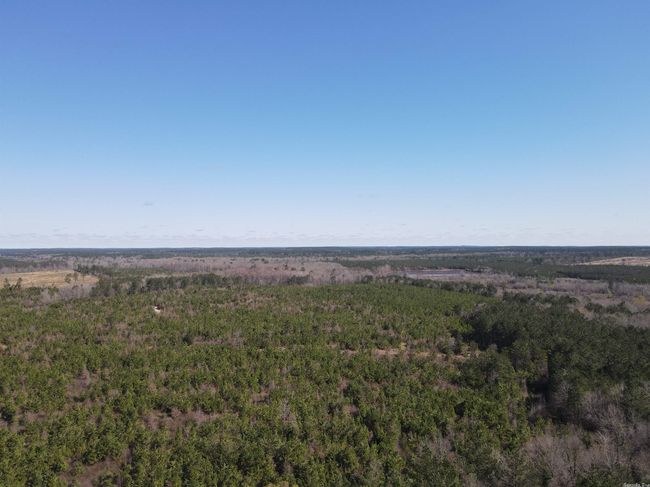 00 Highway 278 Highway, Home with 0 bedrooms, 0 bathrooms and null parking in Rosston AR | Image 29