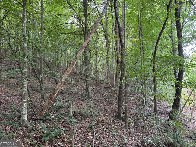 TRACT 2 Harbert Valley Rd, Home with 0 bedrooms, 0 bathrooms and null parking in Toccoa GA | Image 19