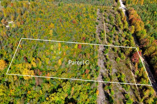 Parcel C S Weldon Road, Homestead Township, MI, 49617 | Card Image