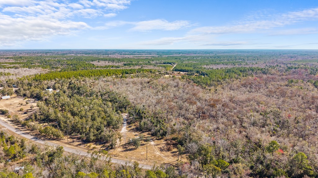Land in Steinhatchee 4