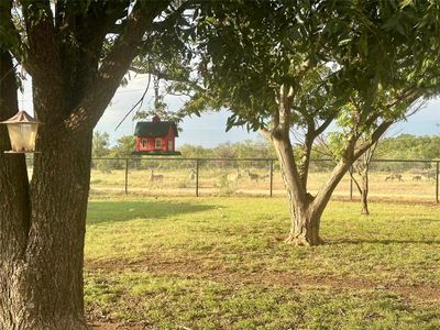 View of yard | Image 2