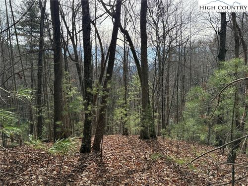 21 Buck Mountain Rd, Purlear, NC, 28665 | Card Image
