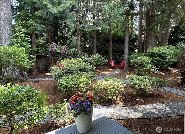 Sit and relax amongst the trees with your favorite beverage and a good book | Image 32