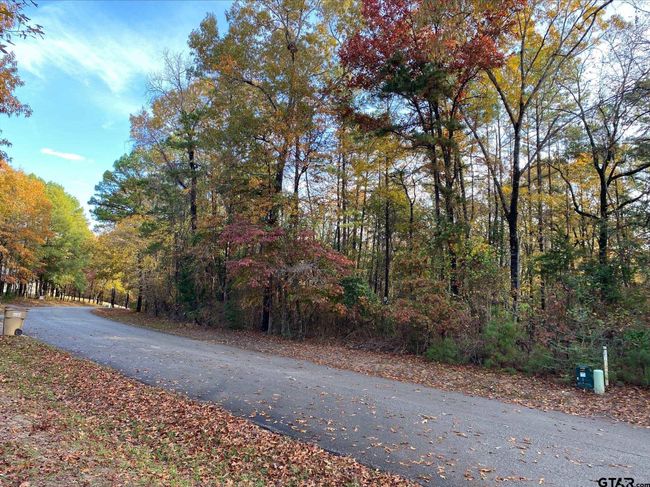 14632 Reserve Ct, Home with 0 bedrooms, 0 bathrooms and null parking in Tyler TX | Image 14