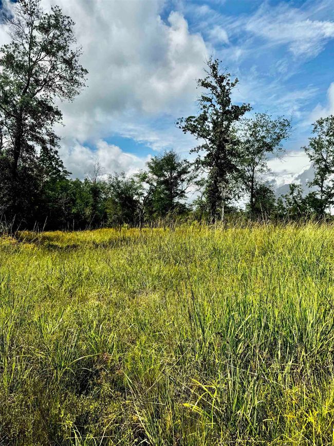 8982 Fm 2246 Rd, Home with 0 bedrooms, 0 bathrooms and null parking in Buna TX | Image 7