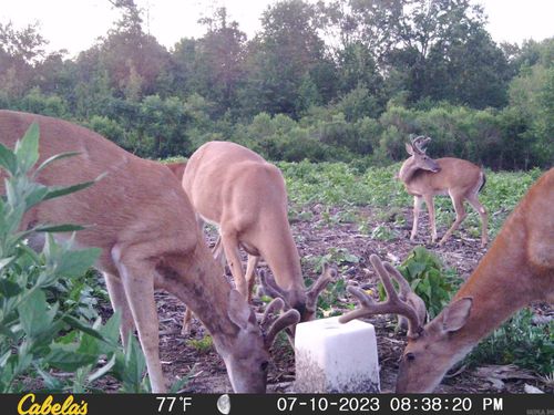 7721 Walters Chapel Rd, Carlisle, AR, 72024 | Card Image