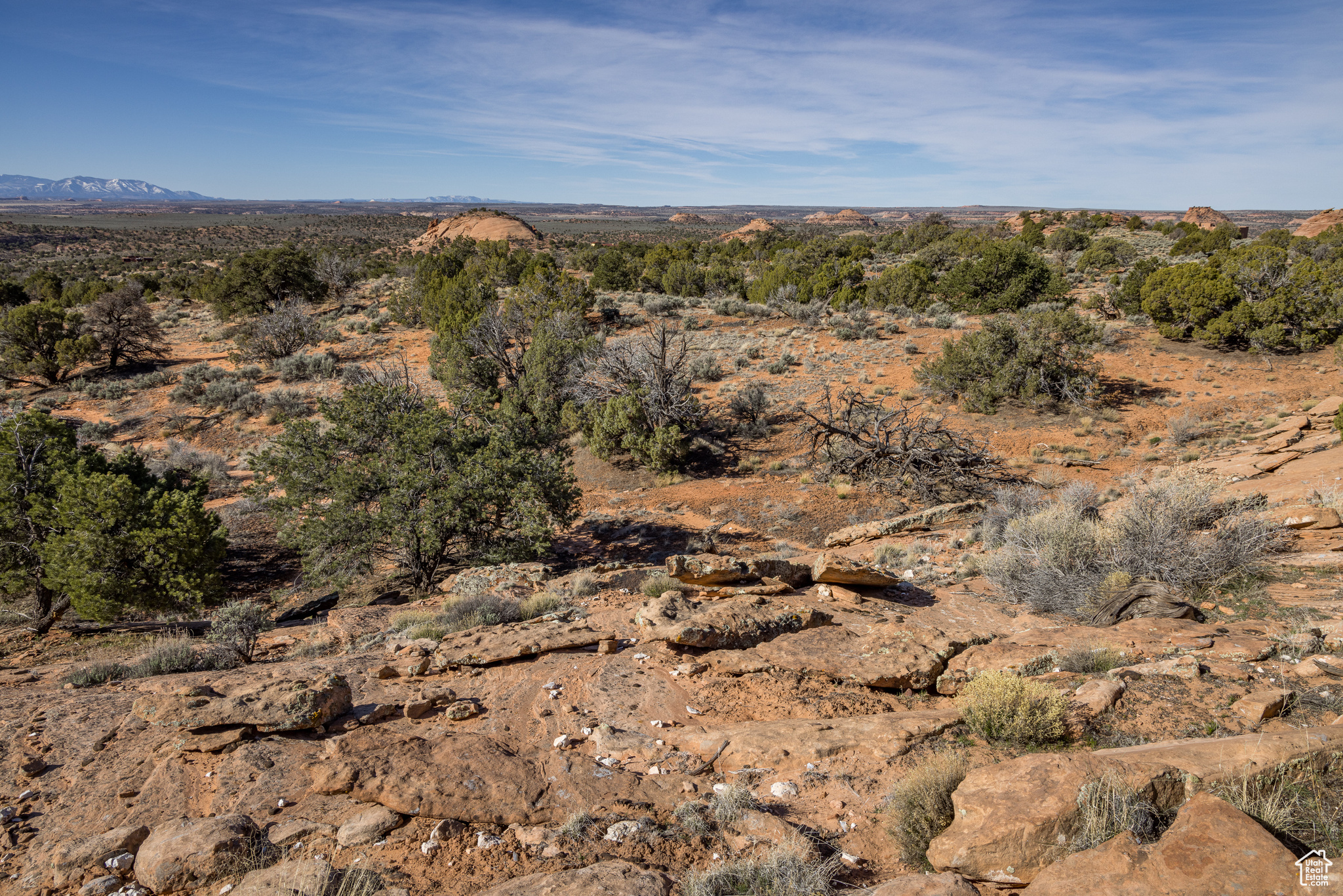 Land in Moab 4