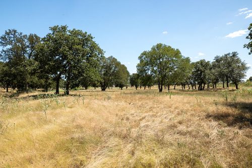 3600 E Us Highway 290, Fredericksburg, TX, 78624 | Card Image