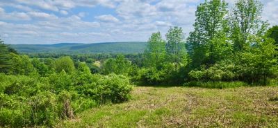 lot 30 Algerine Street, Home with 0 bedrooms, 0 bathrooms and null parking in Afton NY | Image 3