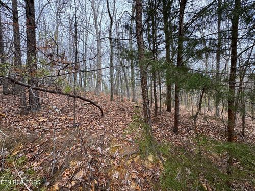 44 Zuni Way, DEL RIO, TN, 37727 | Card Image