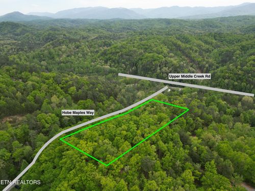 0 Hobe Maples Way, Sevierville, TN, 37876 | Card Image
