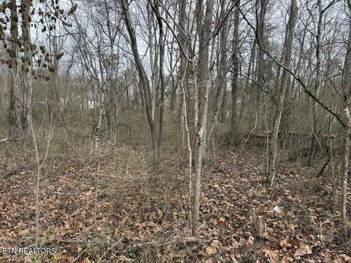 164 Jodys Lane, Rockwood, TN, 37854 | Card Image