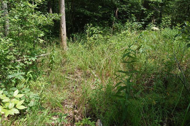 10 Laurel Brook Rd, Home with 0 bedrooms, 0 bathrooms and null parking in Dunlap TN | Image 22