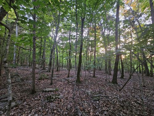 3 Sewanee Summit Rd, Decherd, TN, 37324 | Card Image