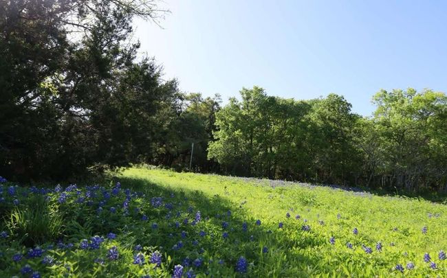 Mary Moore Searight park at end of Bilbook. | Image 35