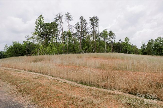 Lot 12 American Bittern Way, Home with 0 bedrooms, 0 bathrooms and null parking in Clover SC | Image 9