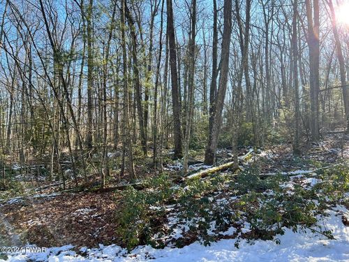 Lot 762 Mountain Snow Circle, Tafton, PA, 18464 | Card Image