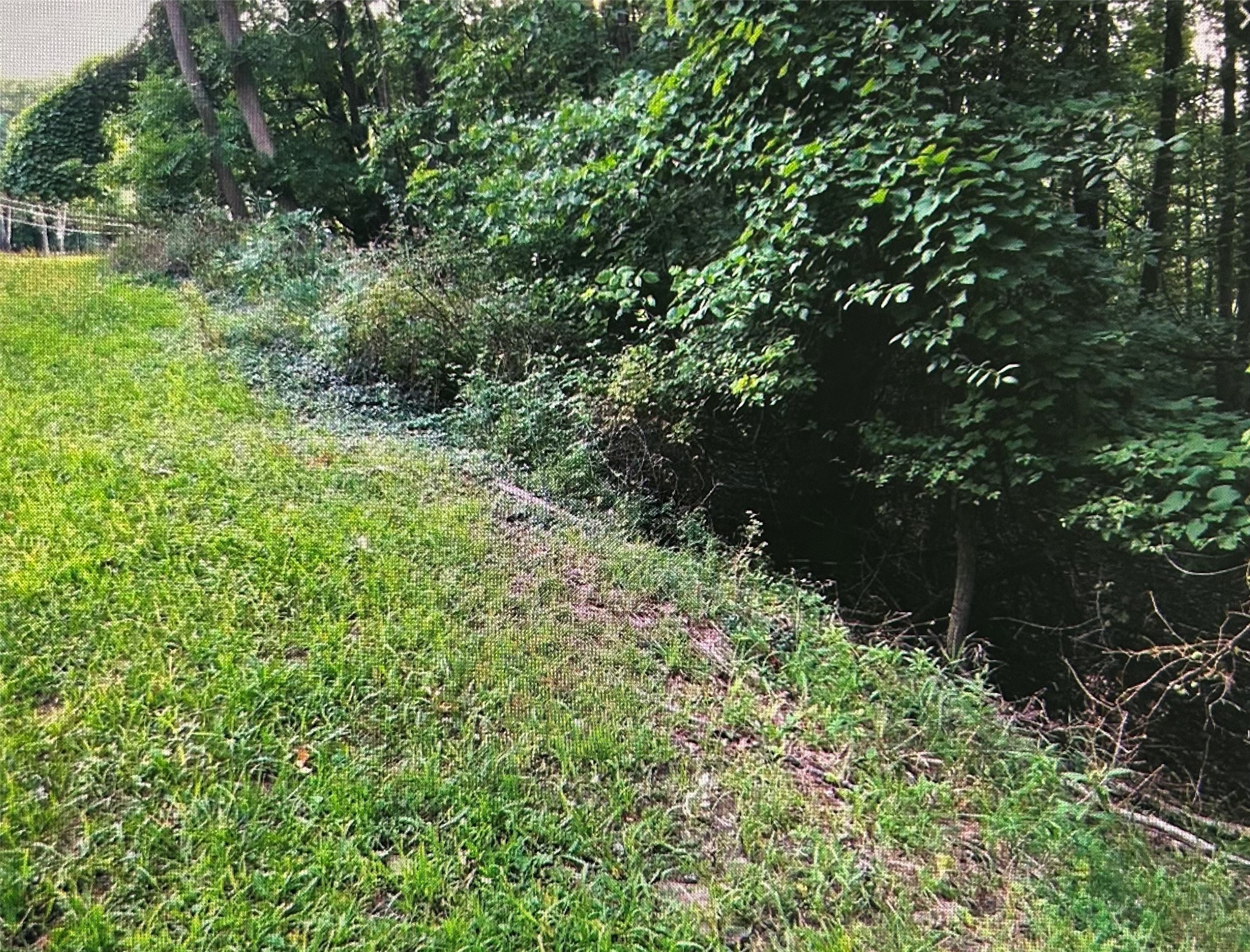 Land in Binghamton 2