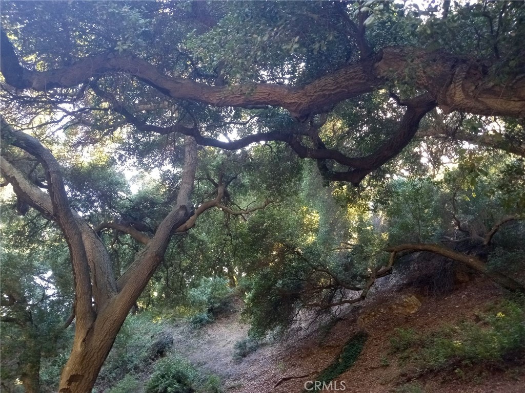 Land in Claremont