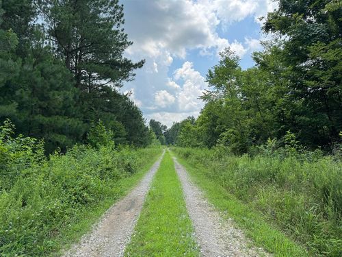 Lot 1 Stroud Ln, Centertown, KY, 42328 | Card Image