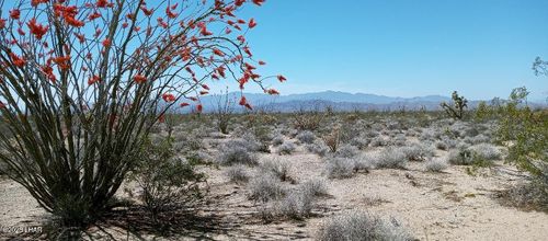 922 W Crystal Springs Dr, Yucca, AZ, 86438 | Card Image