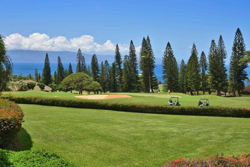 2206-50 Puu Anoano St, Lahaina, HI, 96761-1963 | Card Image
