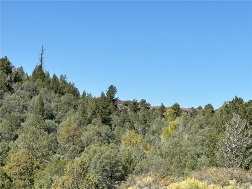 TBD Highway 285, Tres Piedras, NM, 87577 | Card Image