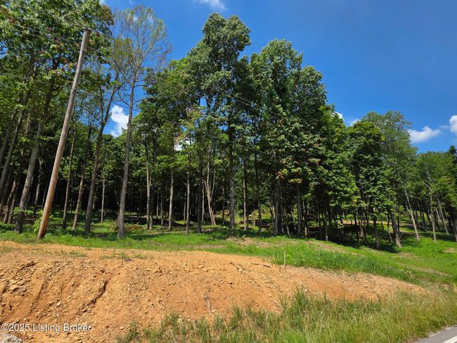 5 Cave Creek Rd, Home with 0 bedrooms, 0 bathrooms and null parking in Falls Of Rough KY | Image 13