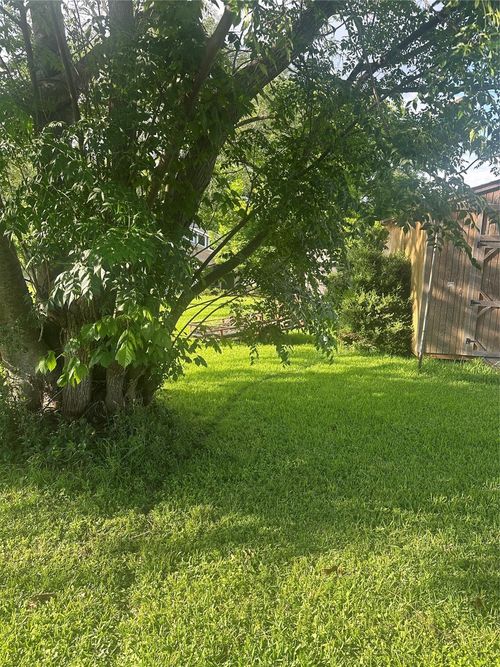 TBD Terrace Dr, Pointblank, TX, 77364 | Card Image