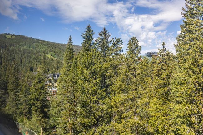W403 - 75 Hunki Dori Ct, Condo with 2 bedrooms, 2 bathrooms and null parking in KEYSTONE CO | Image 7