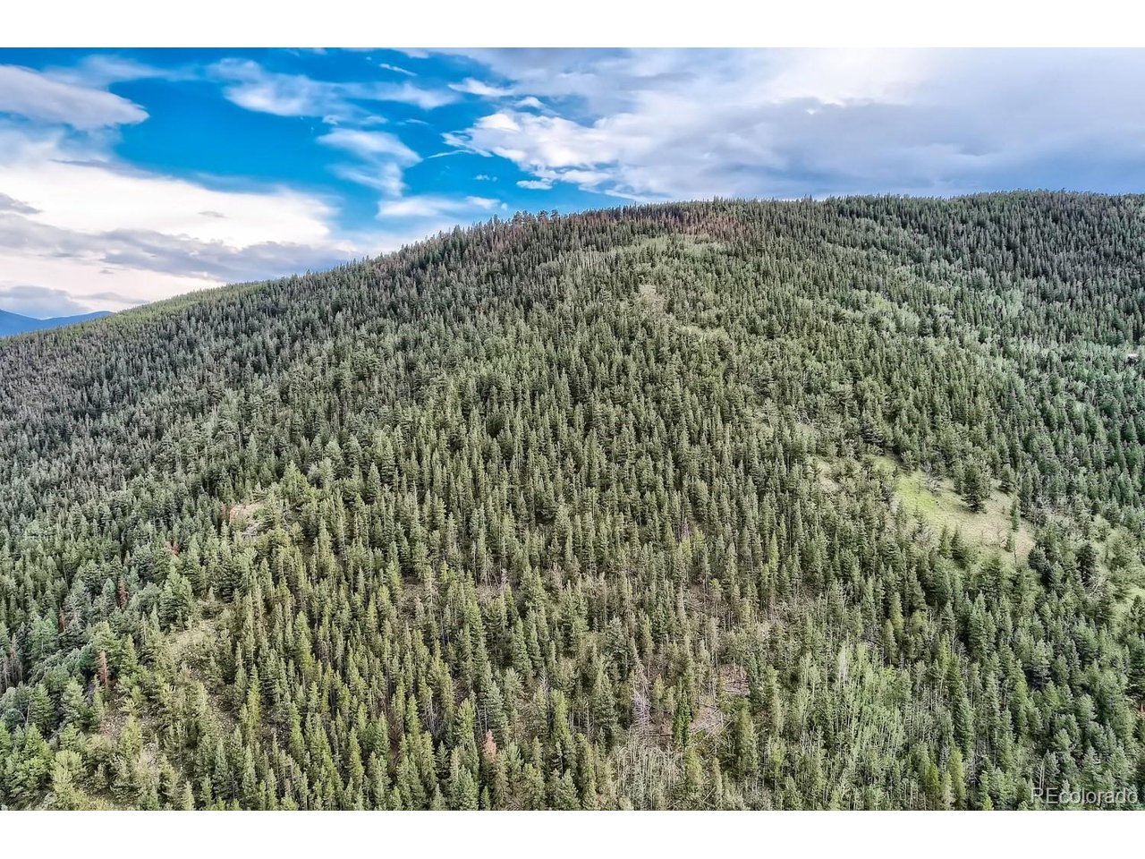 Land in Dumont 3