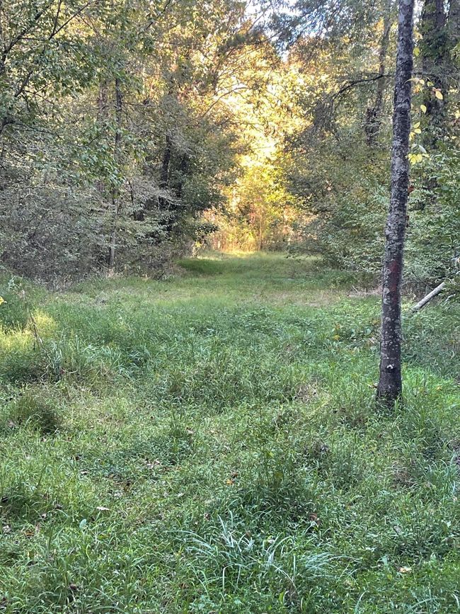 450 County Road 28, House other with 4 bedrooms, 3 bathrooms and null parking in Calhoun TN | Image 126