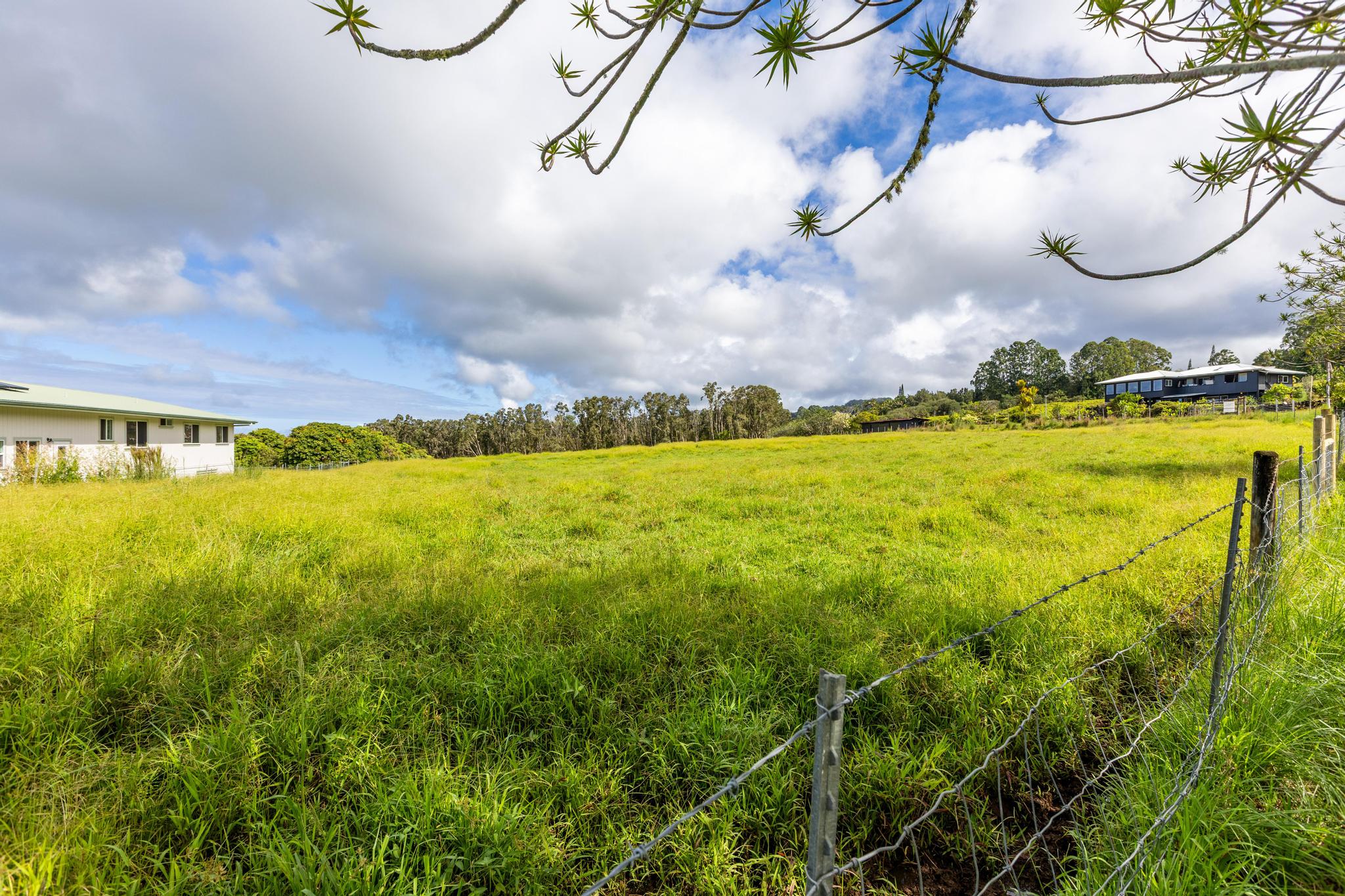 Land in Hakalau 2