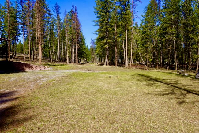 View of yard | Image 10