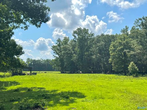 124 Acres County Road 170, Moulton, AL, 35650 | Card Image