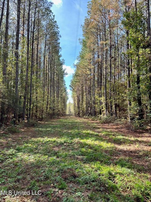 Lot A Swamp Rd, Carthage, MS, 39051 | Card Image