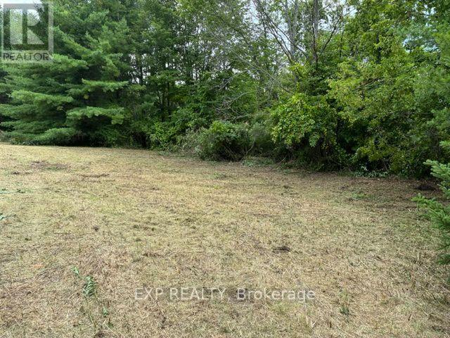 Land in Alnwick/Haldimand 2