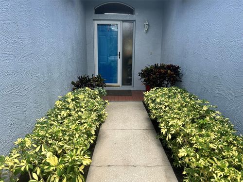 245 Hemingway Dr, OLDSMAR, FL, 34677-4647 | Card Image