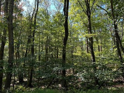 LOT-237-ANDAMP-238-ALPINE - Lots 237 &amp; 238 Daylily Circle, Home with 0 bedrooms, 0 bathrooms and null parking in Terra Alta WV | Image 2