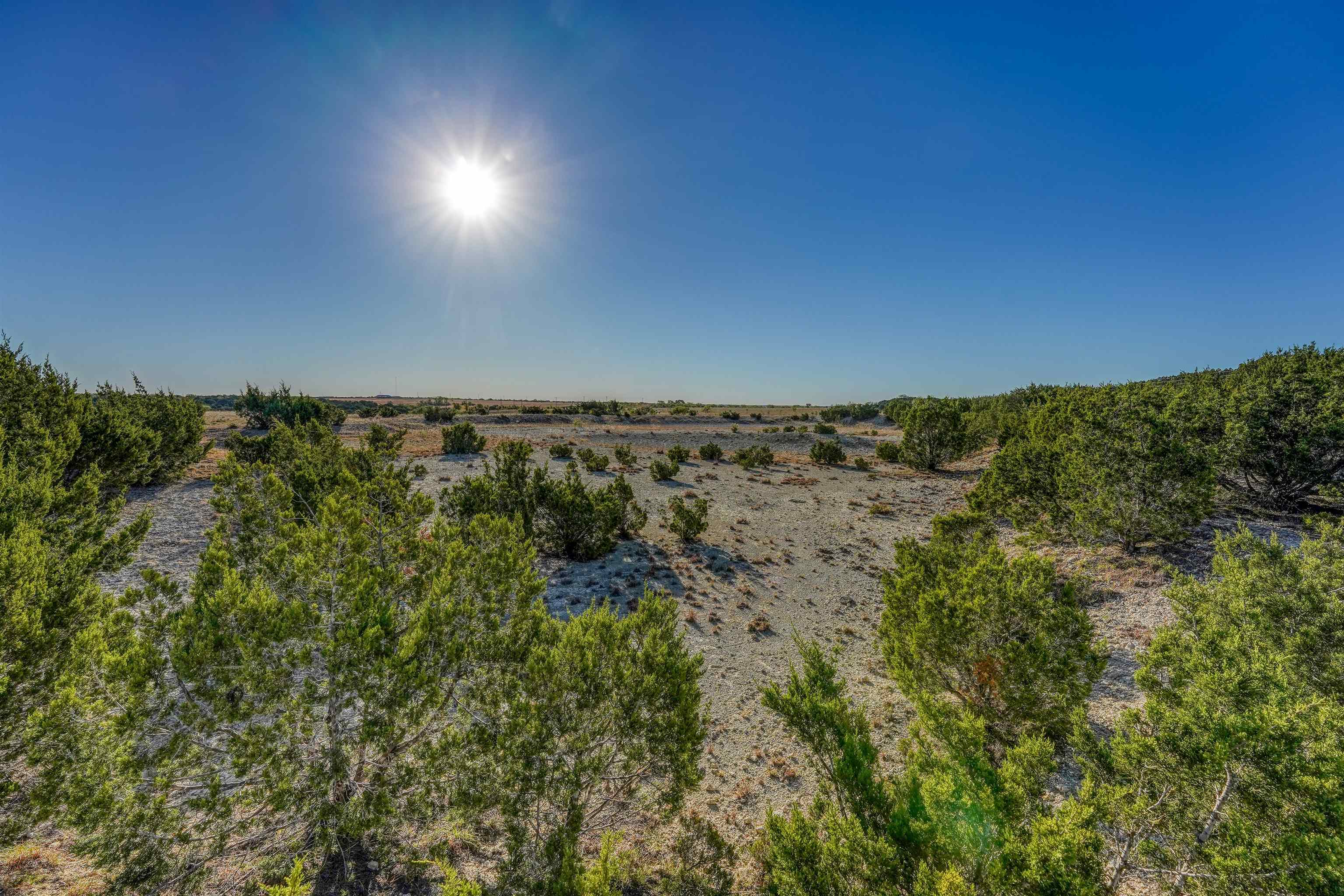 Farm in Burnet 5