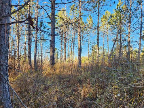 27XXX Dayton Rd, Washburn, WI, 54891 | Card Image