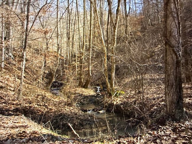 Natural spring running down hill. | Image 46