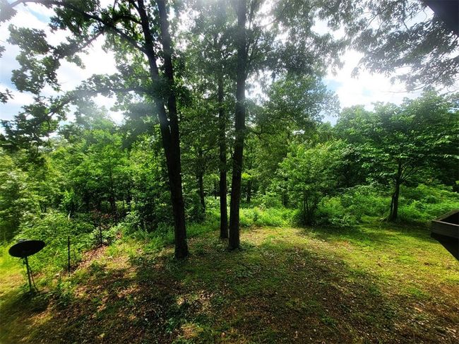 305 Spirit Dr, House other with 4 bedrooms, 3 bathrooms and null parking in Saint Joe AR | Image 27
