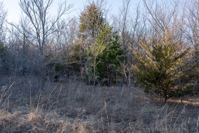 75 241 St, Home with 0 bedrooms, 0 bathrooms and null parking in Mounds OK | Image 89