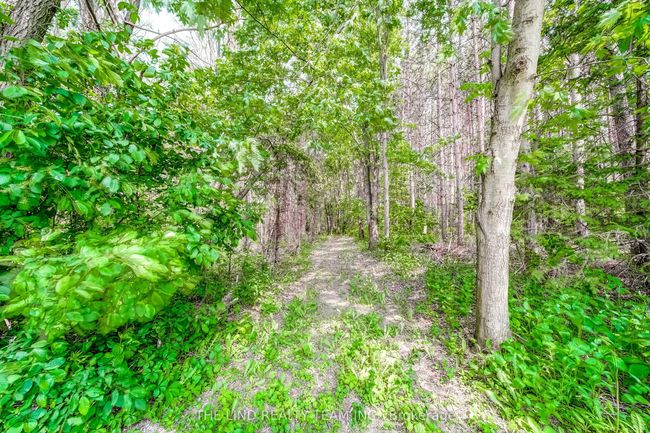 5205 10 Th Sideroad, House other with 5 bedrooms, 2 bathrooms and 20 parking in Cookstown ON | Image 31