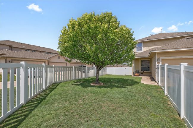 Back Yard | Image 25